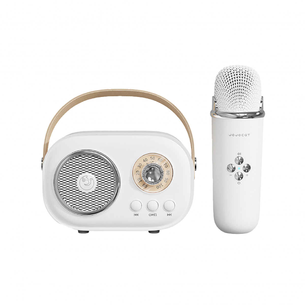 Портативна колонка з мікрофоном Platinum C-20 BT/TF/USB/FM з вологозахистом 5 Вт
