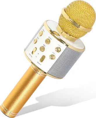Бездротовий мікрофон для караоке Wster WS-858