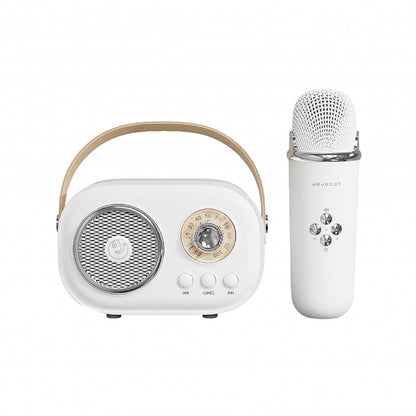 Портативна колонка з мікрофоном Platinum C-20 BT/TF/USB/FM з вологозахистом 5 Вт