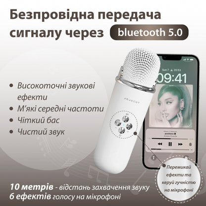 Портативна колонка з мікрофоном Platinum C-20 BT/TF/USB/FM з вологозахистом 5 Вт
