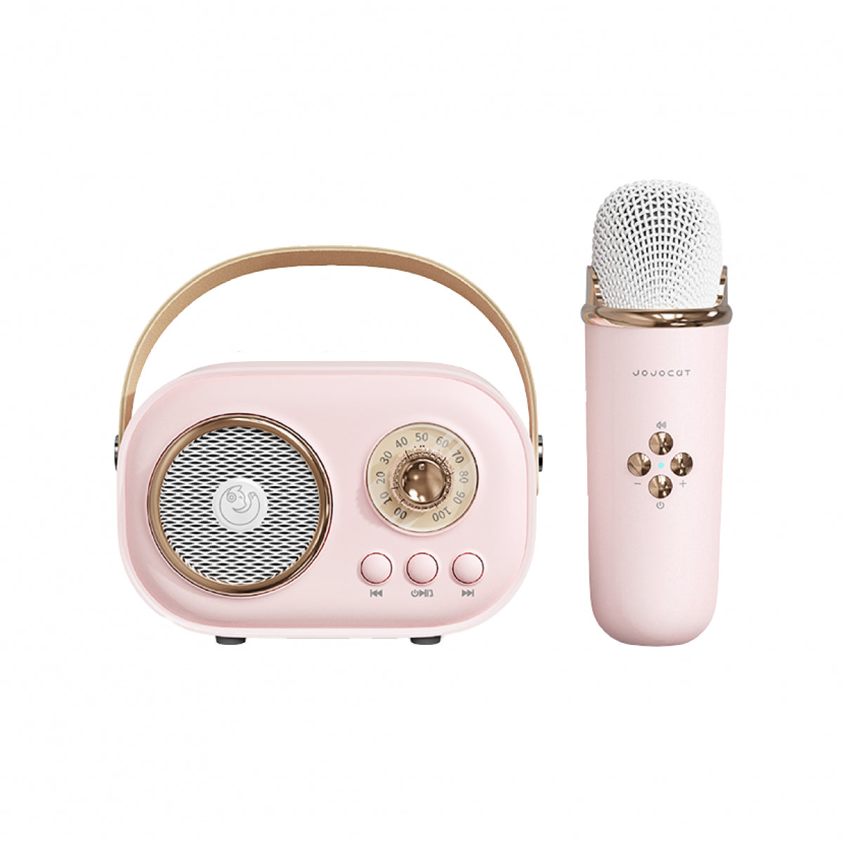 Портативна колонка з мікрофоном Platinum C-20 BT/TF/USB/FM з вологозахистом 5 Вт